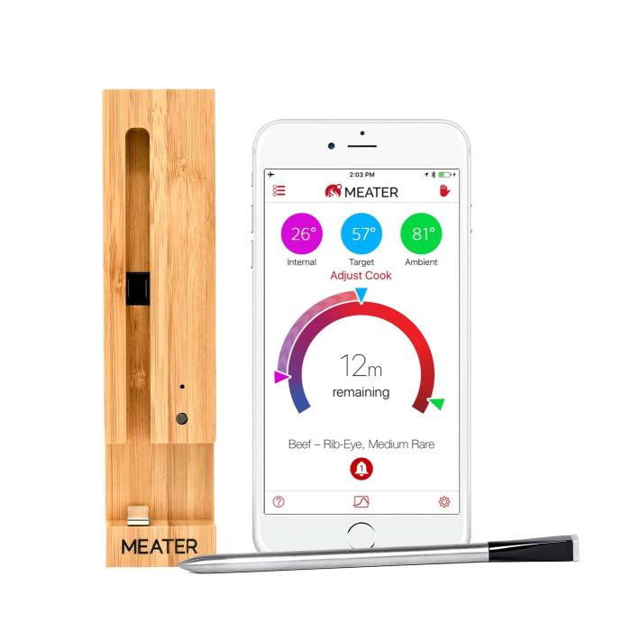 Bezdrátová termosonda MEATER S Bluetooth Repeaterem do trouby i grilu